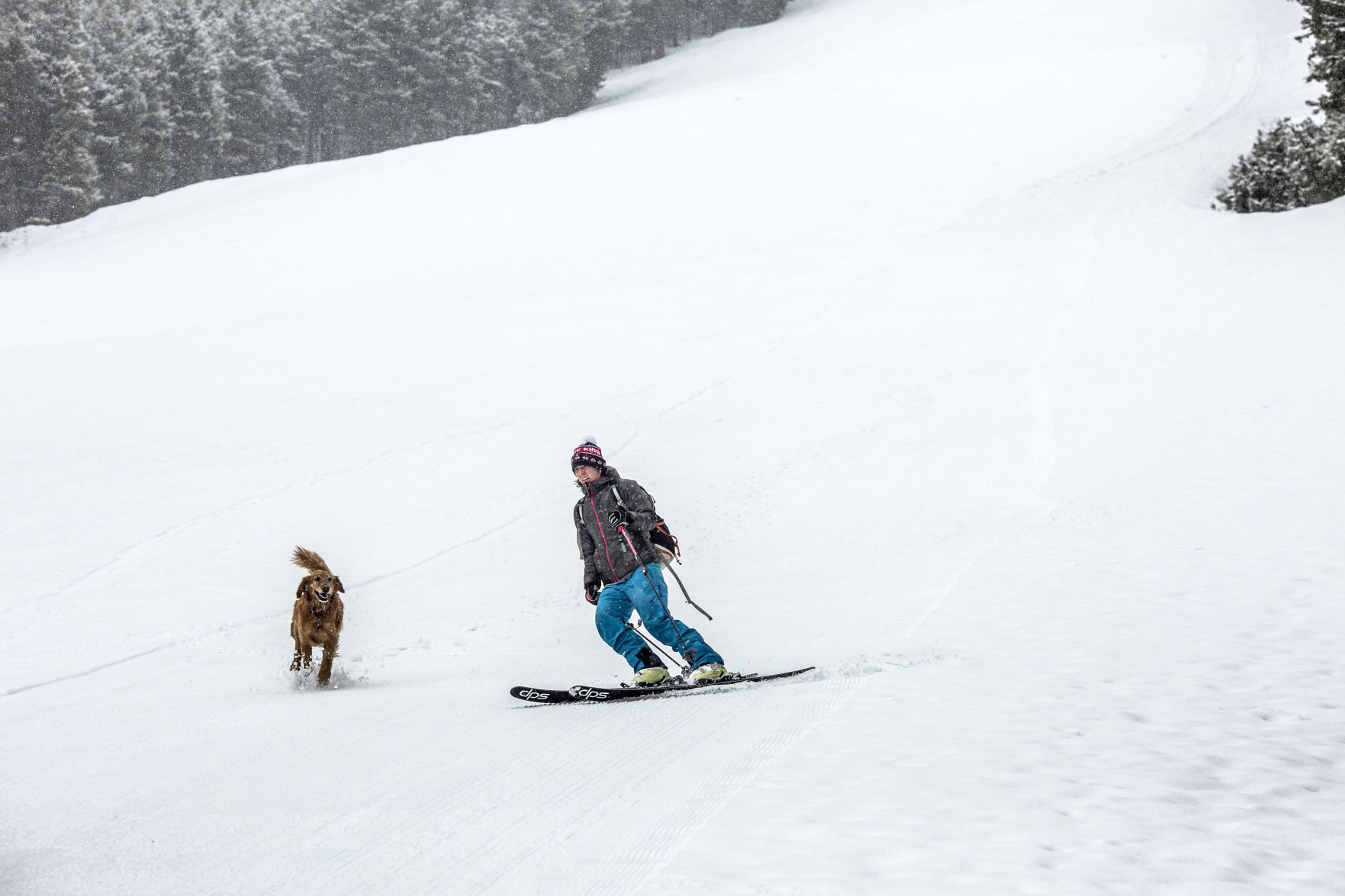 Grooming Snow King